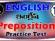 TS TET English PT 11