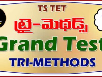 TS TET TRI-METHODS GRAND PT 1