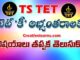 TS TET OBJECTIONS